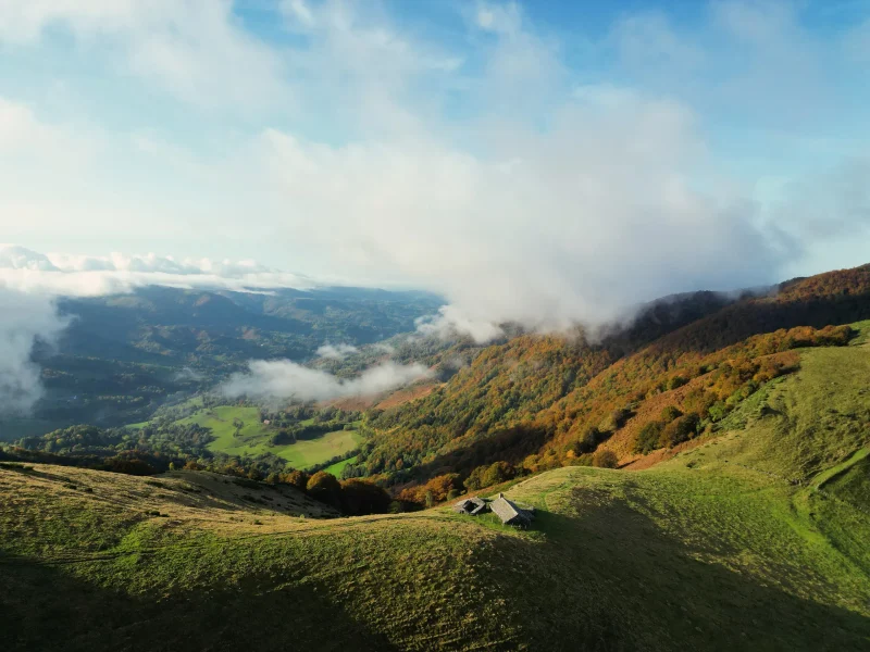 CDCC0DF2-8748-478F-9C34-13C52AAE60D5-800x600